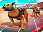 Crazy dog ​​racing